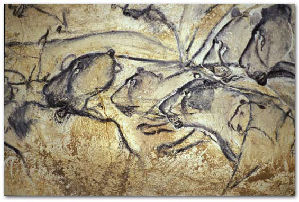 Lions painted on the cave at Chauvet, France